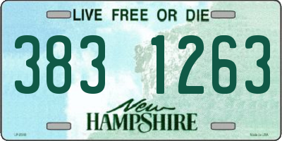 NH license plate 3831263