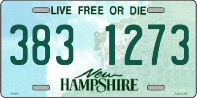 NH license plate 3831273