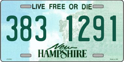 NH license plate 3831291