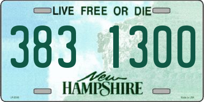 NH license plate 3831300