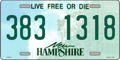 NH license plate 3831318