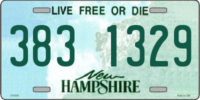 NH license plate 3831329