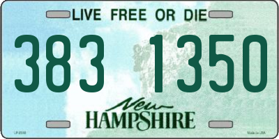 NH license plate 3831350