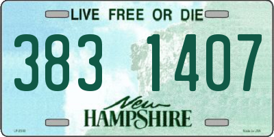 NH license plate 3831407