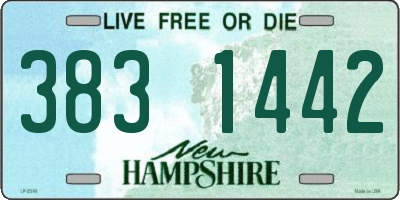 NH license plate 3831442