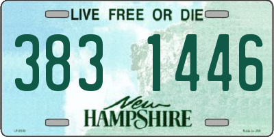 NH license plate 3831446