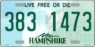 NH license plate 3831473