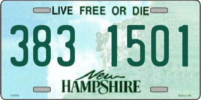 NH license plate 3831501