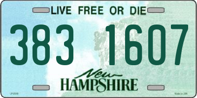NH license plate 3831607