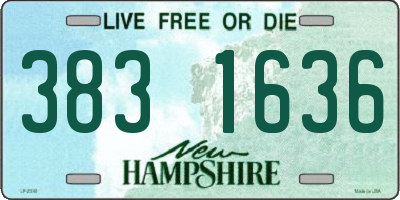 NH license plate 3831636
