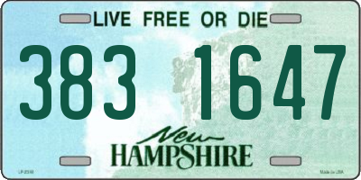 NH license plate 3831647