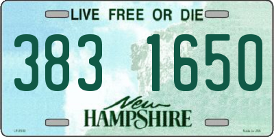 NH license plate 3831650