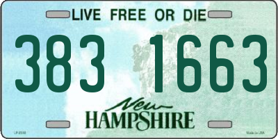 NH license plate 3831663