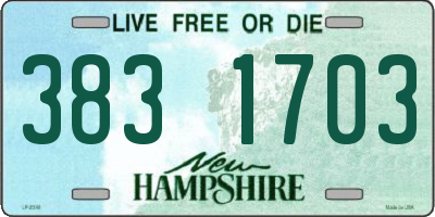 NH license plate 3831703