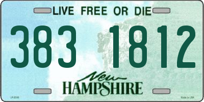 NH license plate 3831812