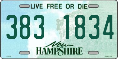 NH license plate 3831834