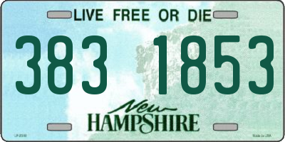 NH license plate 3831853
