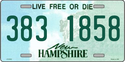 NH license plate 3831858