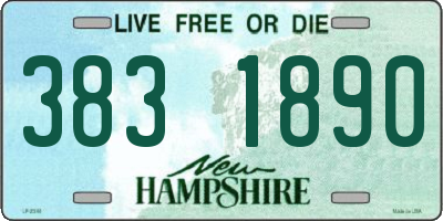 NH license plate 3831890