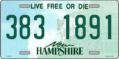 NH license plate 3831891