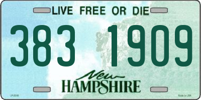 NH license plate 3831909