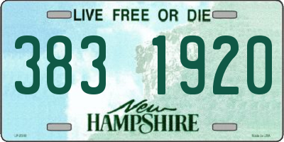 NH license plate 3831920