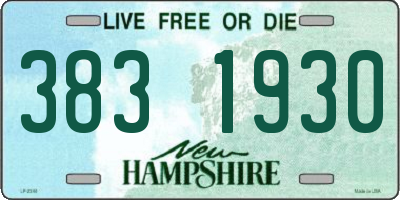 NH license plate 3831930