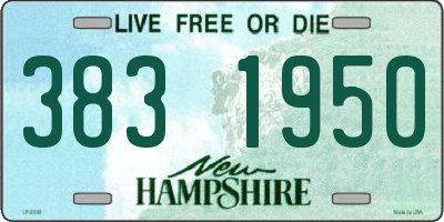 NH license plate 3831950