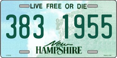 NH license plate 3831955