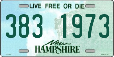 NH license plate 3831973
