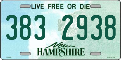 NH license plate 3832938