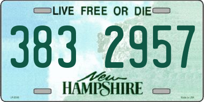NH license plate 3832957