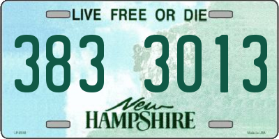 NH license plate 3833013
