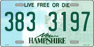 NH license plate 3833197
