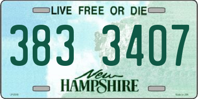 NH license plate 3833407