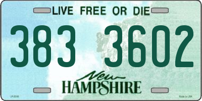 NH license plate 3833602