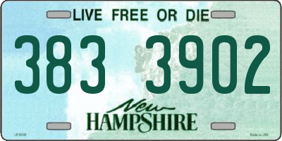 NH license plate 3833902