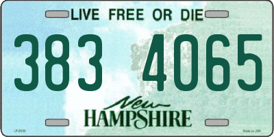 NH license plate 3834065