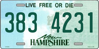 NH license plate 3834231
