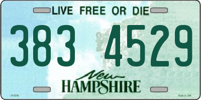NH license plate 3834529