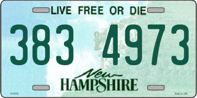 NH license plate 3834973