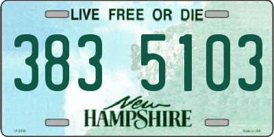 NH license plate 3835103