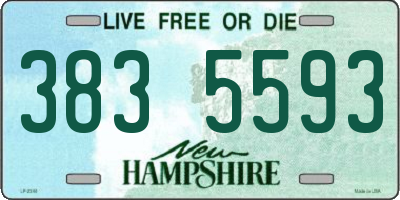 NH license plate 3835593
