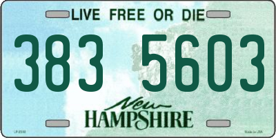 NH license plate 3835603