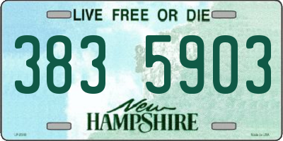 NH license plate 3835903
