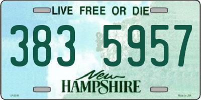 NH license plate 3835957
