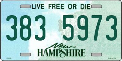 NH license plate 3835973