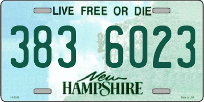 NH license plate 3836023