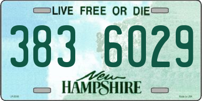 NH license plate 3836029