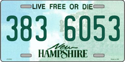 NH license plate 3836053